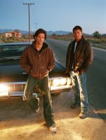 Filename=SN5-CA-0072.jpgFilesize=1545KiBDimensions=2267x3000Date added=May 14, 2010 SN5-CA-0072.jpg
