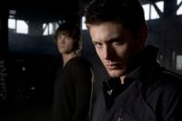 Filename=SN6-CA-0041.jpgFilesize=769KiBDimensions=3000x2000Date added=May 14, 2010 SN6-CA-0041.jpg