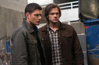 Filename=SN622-0018.jpgFilesize=242KiBDimensions=1450x966Date added=Jan 14, 2013 SN622-0018.jpg
