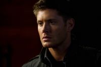 Filename=SN814-0009.jpgFilesize=256KiBDimensions=2000x1331Date added=Feb 03, 2014 SN814-0009.jpg