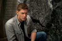 Filename=SN904-0006.jpgFilesize=542KiBDimensions=2000x1331Date added=Oct 03, 2014 SN904-0006.jpg