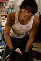 Filename=f_padalecki2m_e663826.jpgFilesize=129KiBDimensions=490x736Date added=May 14, 2010 f_padalecki2m_e663826.jpg