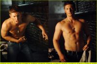 Filename=jensen-ackles-shirtless00.jpgFilesize=111KiBDimensions=1024x683Date added=Jun 16, 2010 jensen-ackles-shirtless00.jpg