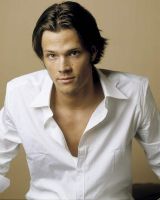 Filename=jpa020.jpgFilesize=79KiBDimensions=641x800Date added=May 14, 2010 jpa020.jpg