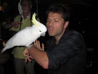 misha-collins-bird.jpg