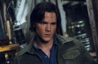 Filename=super5.jpgFilesize=387KiBDimensions=1450x955Date added=May 14, 2010 super5.jpg