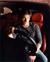 gallery_cuffaro2.jpg