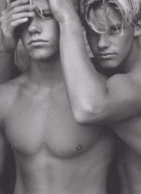 Brewer Twins 